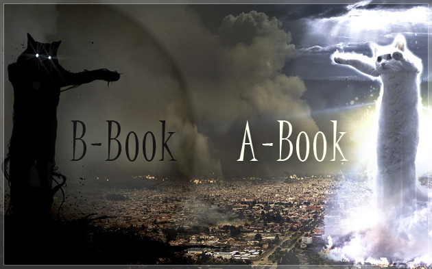 Forex a book and b book