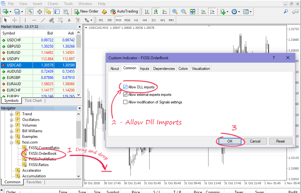 Step 5 - Run Indicator and Allow Dll